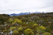 Foto: Tierra del Fuego. Gateway to the Icy Continent